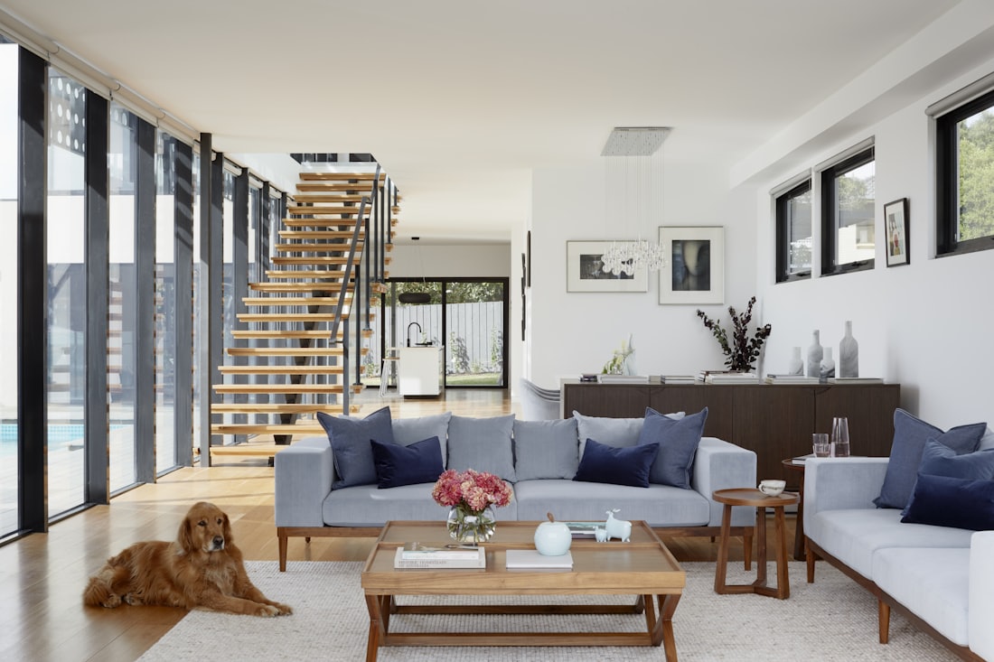 A family living room with a golden retriever resting on the rug